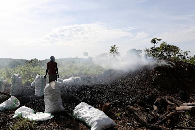 Rising Charcoal Demand in Juba Fuels Deforestation in Central Equatoria