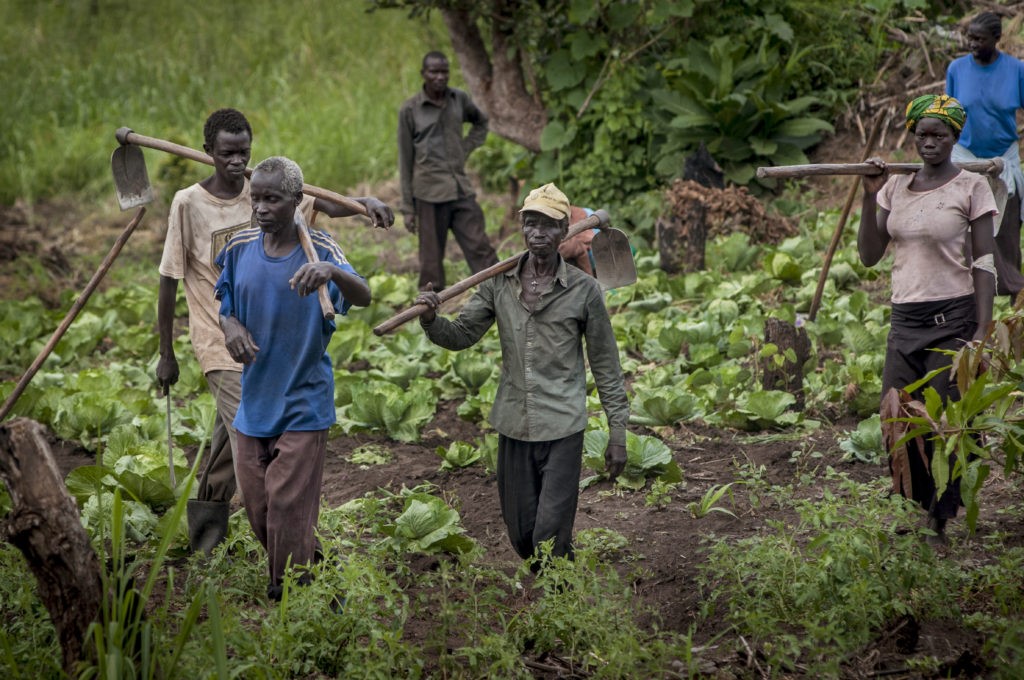 South Sudan Farmers Slam Banks Over Loan