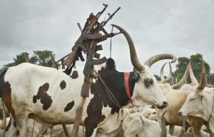 CATTLE-