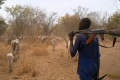13 killed in deadly cattle raid in Duk County