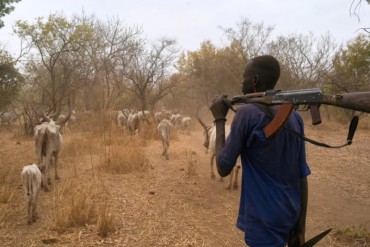 13 killed in deadly cattle raid in Duk County