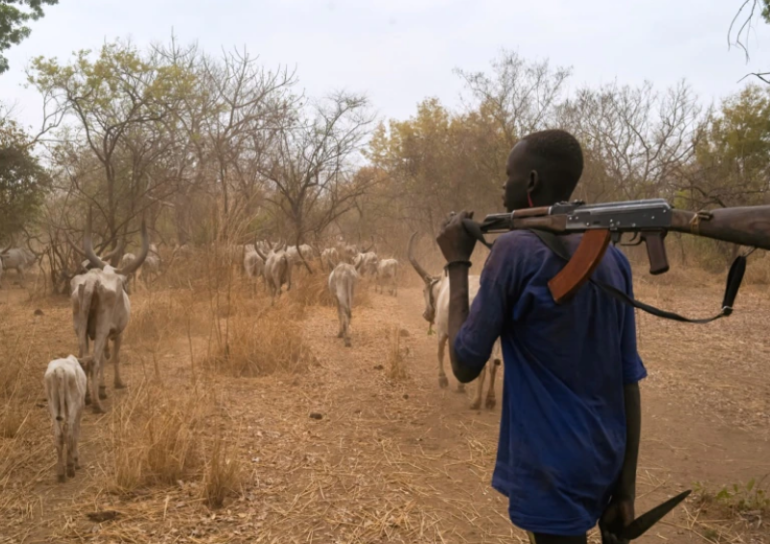 13 killed in deadly cattle raid in Duk County