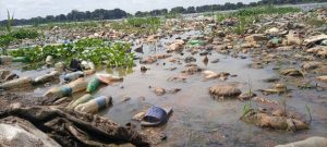 Environmental Impact