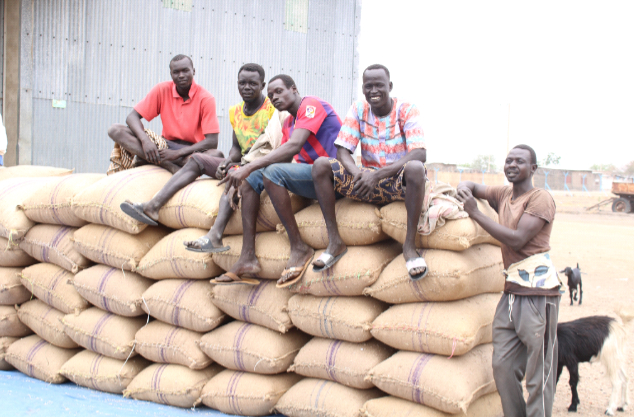 South Sudan’s youth shunning conflict for agriculture