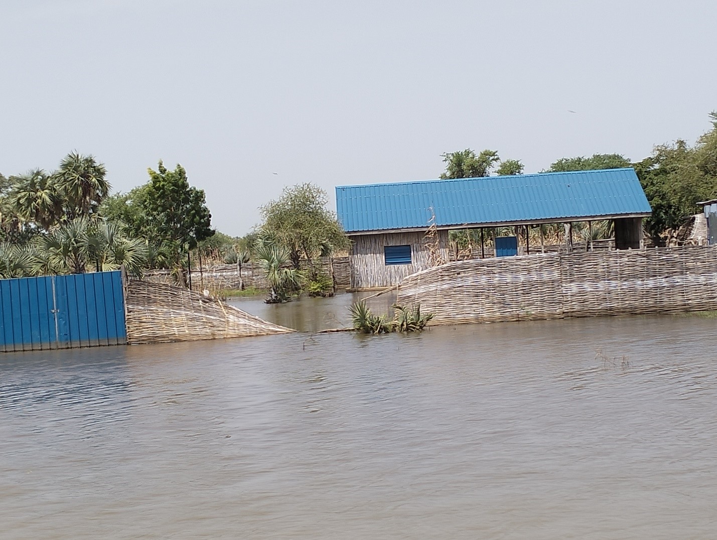 Over 100,000 households uprooted by heavy flooding in Aweil East County