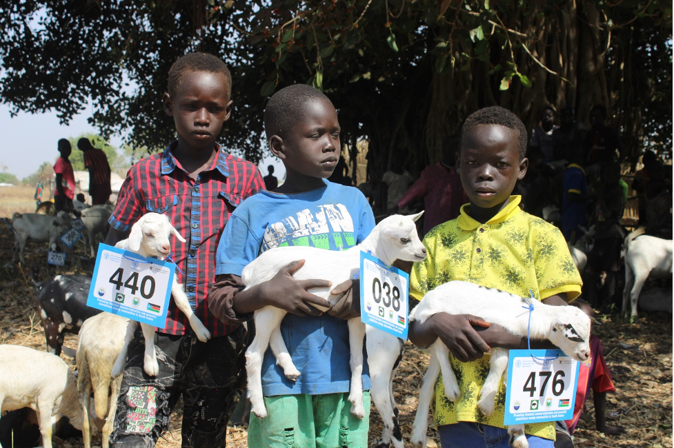 Livestock and agriculture fair kicks off in Terekeka County