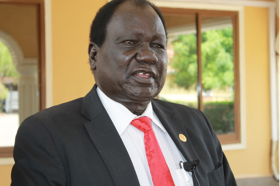 SPLM cadres to be sent for training in South Africa