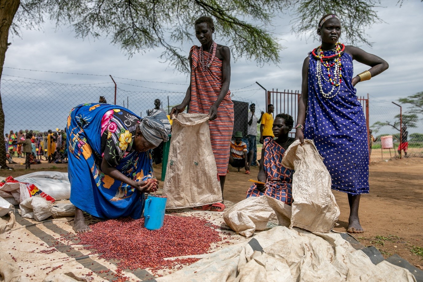 WFP and Japan support drought-affected communities with humanitarian food assistance and school meals