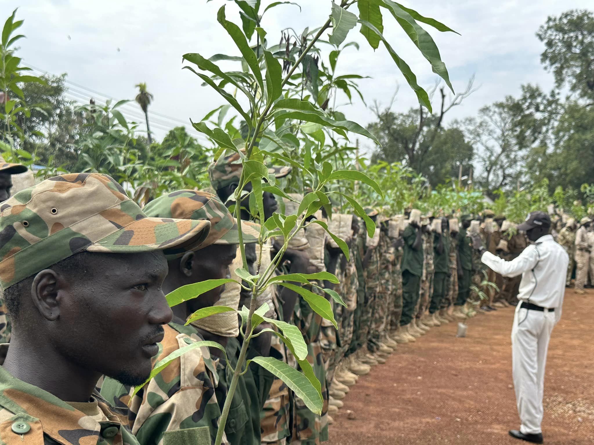 Tree planting drive launches in Northern Bahr El Ghazal state