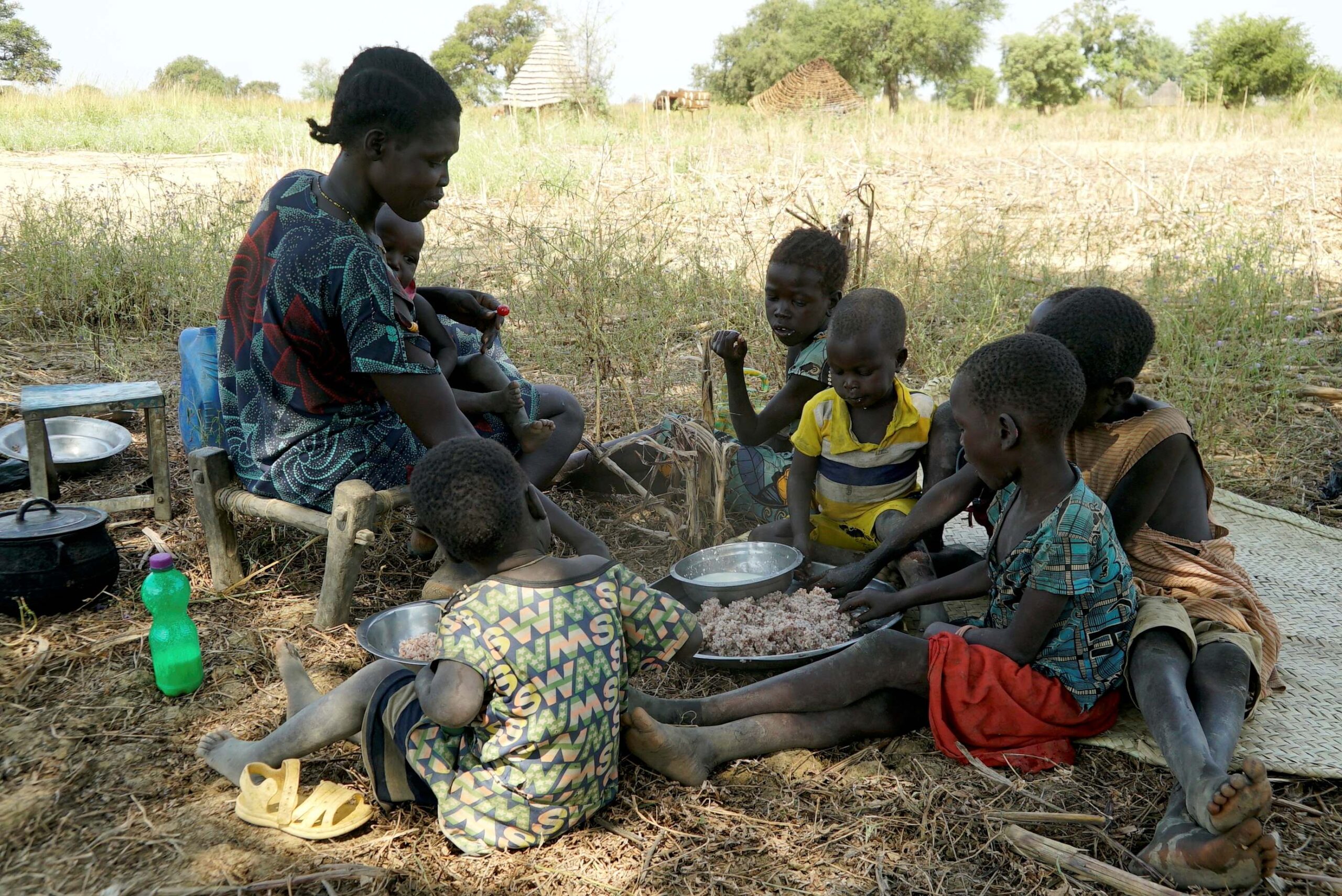 How WFP’s low land rice in flood prone parts of South Sudan is helping  fight food insecurity