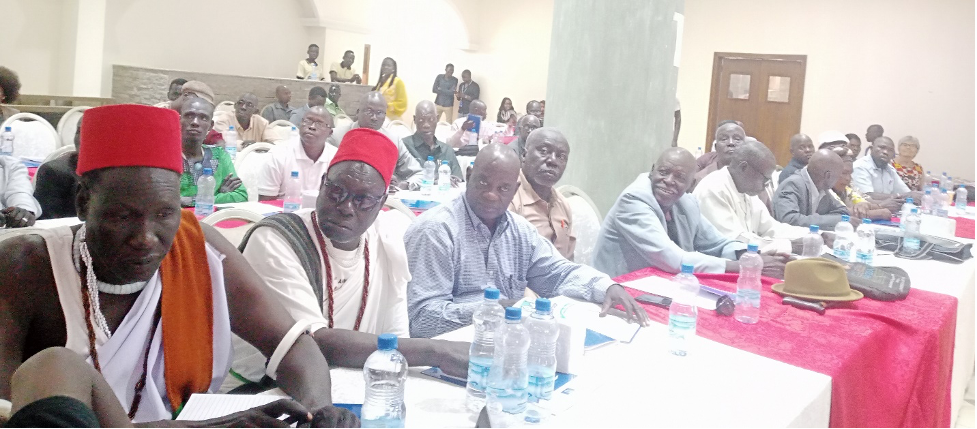 Community leaders call for development of national languages in South Sudan