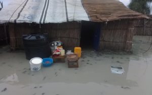 Picture 1