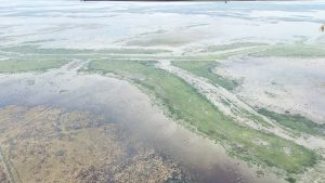 pic0006