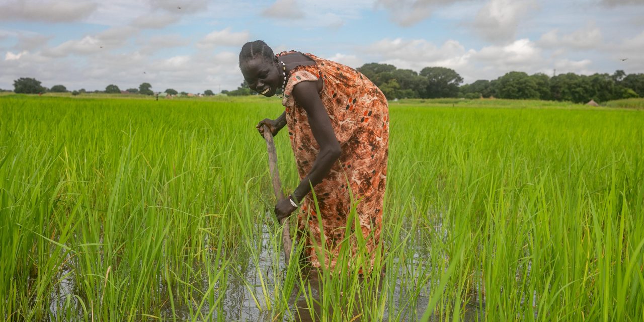 Floods, drought, and solutions: How WFP is empowering communities to combat the climate crisis in South Sudan