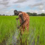 Floods, drought, and solutions: How WFP is empowering communities to combat the climate crisis in South Sudan