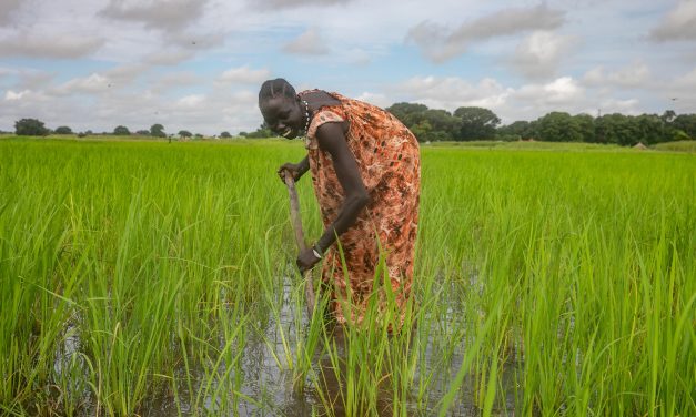 Floods, drought, and solutions: How WFP is empowering communities to combat the climate crisis in South Sudan