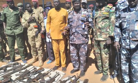 Police forces collected 100 guns to free the town ahead of Christmas festivities in Bentiu