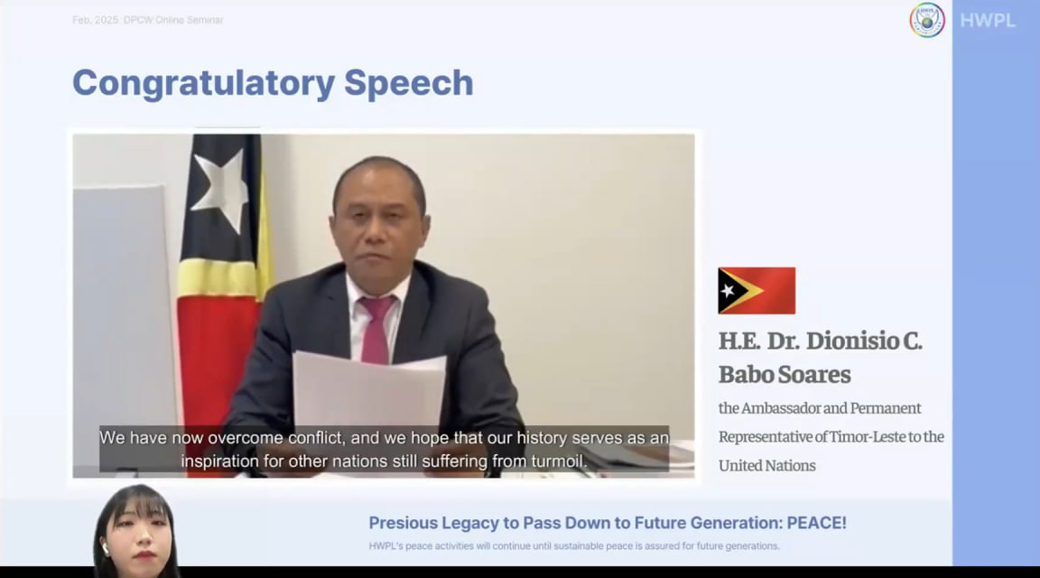International Peace NGO held an Online Seminar for the International Law for Peace