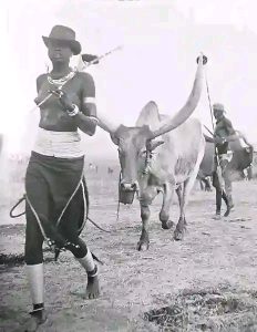 Dinka