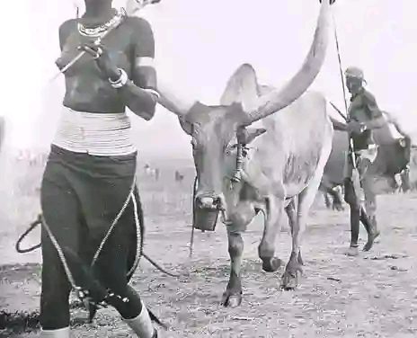 Traditional authorities must enforce HIV and AIDS testing before marriage to save lives