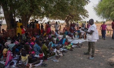 Sheltering Under Trees: Displaced People’s Plight in Jonglei, Upper Nile, and Lakes.
