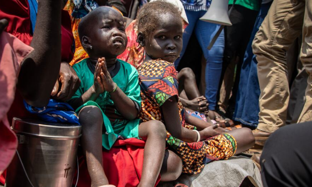 UN, EU Call for Immediate Halt to Fighting in South Sudan
