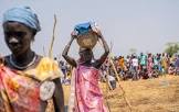 Renewed Insecurity and Rising Displacementin Jonglei Put Thousands At Grave Risk,UNHCR Warns